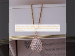 Της Κίνας πολυτέλειας το χρυσό κοσμήματος εργοστασίων SerpeReal χρυσό φιδιών μεγάλο μοτίβο περιδεραίων Boheme μακροχρόνιο με την καρφίτσα πορπών στρώνει τα διαμάντια